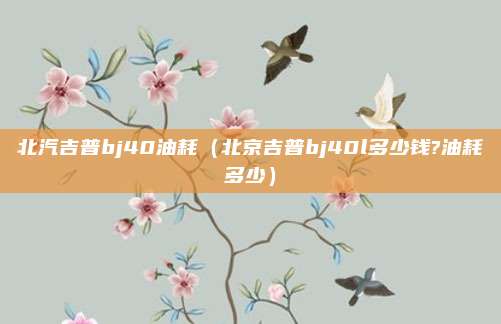 北汽吉普bj40油耗（北京吉普bj40l多少钱?油耗多少）