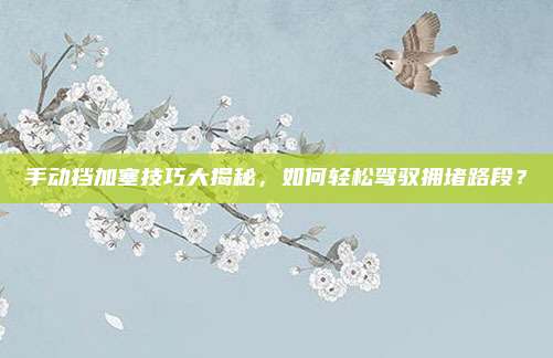 手动挡加塞技巧大揭秘，如何轻松驾驭拥堵路段？