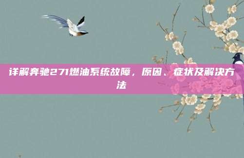 详解奔驰271燃油系统故障，原因、症状及解决方法