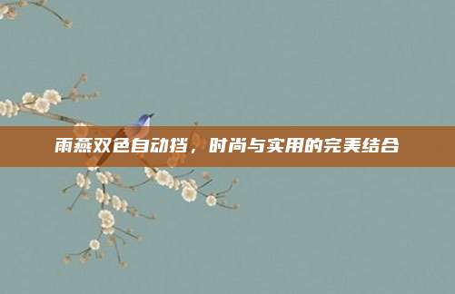 雨燕双色自动挡，时尚与实用的完美结合