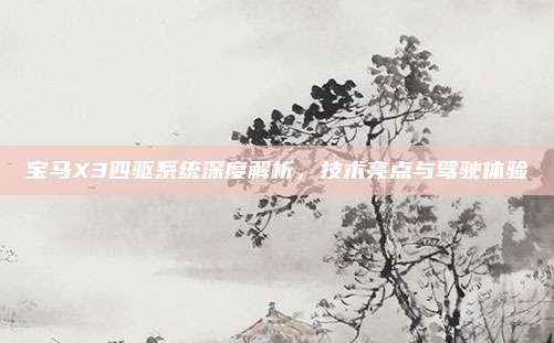 宝马X3四驱系统深度解析，技术亮点与驾驶体验