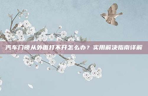 汽车门锁从外面打不开怎么办？实用解决指南详解