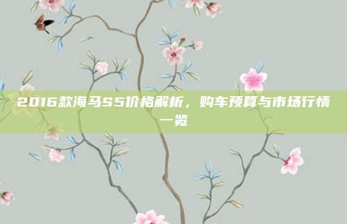 2016款海马S5价格解析,购车预算与市场行情一览