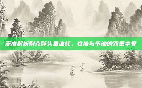深度解析别克胖头鱼油耗,性能与节油的双重享受