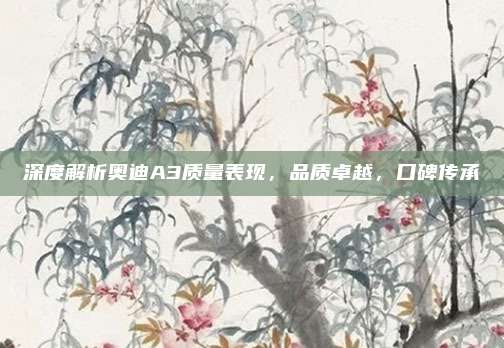 深度解析奥迪A3质量表现,品质卓越,口碑传承