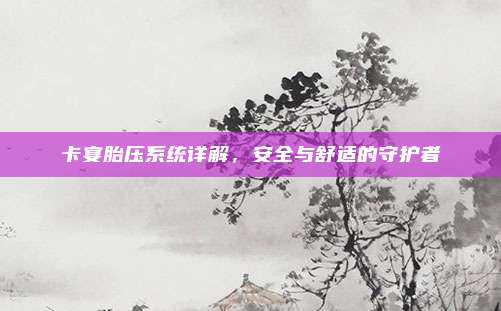 卡宴胎压系统详解,安全与舒适的守护者
