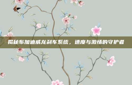 揭秘布加迪威龙刹车系统,速度与激情的守护者