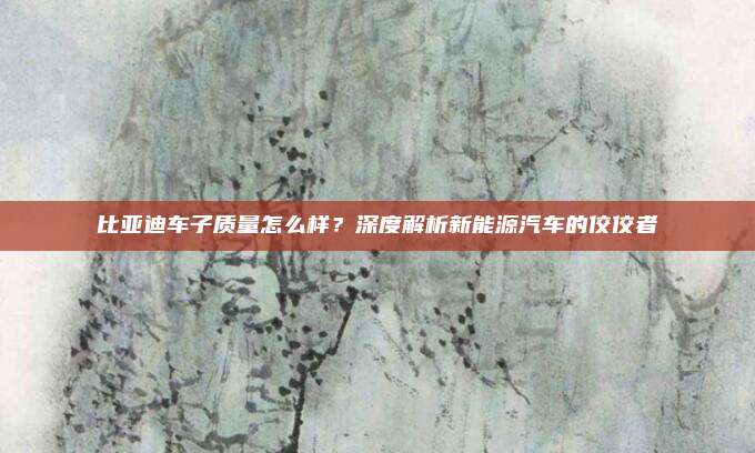 比亚迪车子质量怎么样?深度解析新能源汽车的佼佼者