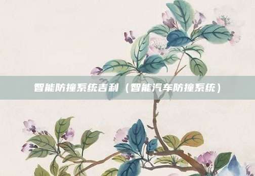 智能防撞系统吉利（智能汽车防撞系统）