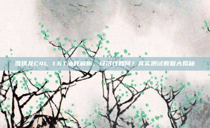 雪铁龙C4L 1.6T油耗解析,经济性如何?真实测试数据大揭秘