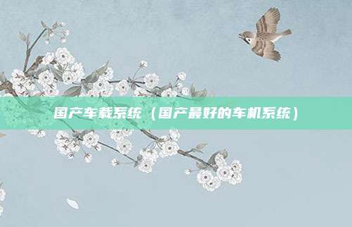 国产车载系统(国产最好的车机系统)