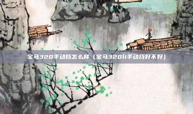 宝马320手动挡怎么样(宝马320li手动挡好不好)