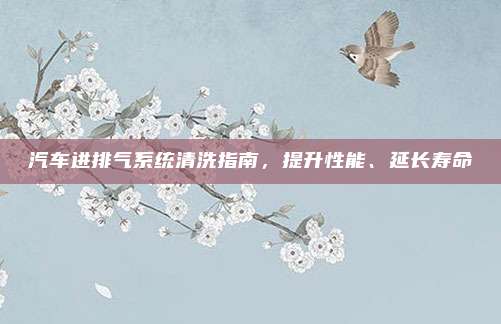汽车进排气系统清洗指南,提升性能、延长寿命