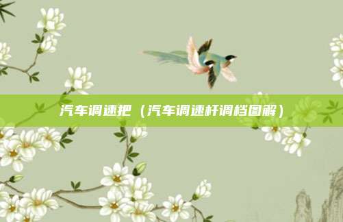 汽车调速把（汽车调速杆调档图解）
