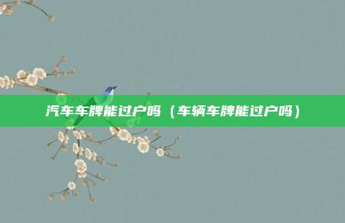 汽车车牌能过户吗(车辆车牌能过户吗)