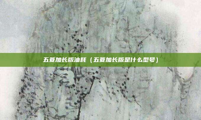 五菱加长版油耗（五菱加长版是什么型号）