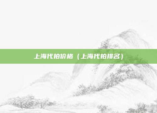 上海代拍价格（上海代拍排名）