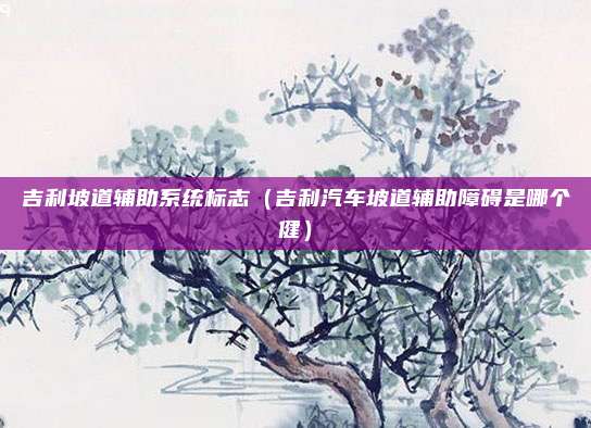 吉利坡道辅助系统标志(吉利汽车坡道辅助障碍是哪个健)