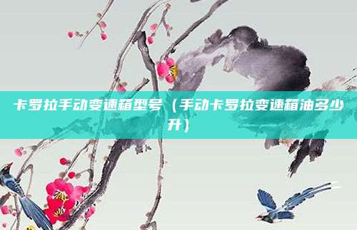 卡罗拉手动变速箱型号（手动卡罗拉变速箱油多少升）