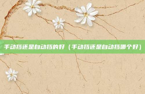 手动挡还是自动挡的好（手动挡还是自动挡哪个好）