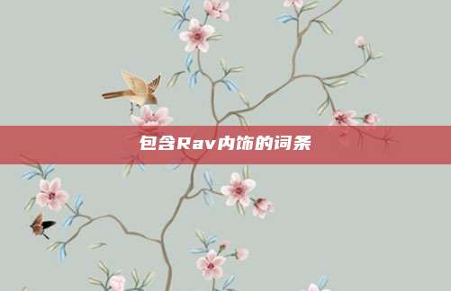 包含Rav内饰的词条