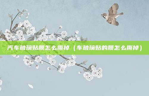 汽车玻璃贴膜怎么撕掉(车玻璃贴的膜怎么撕掉)