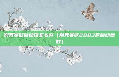 别克赛欧自动挡怎么样(别克赛欧2003款自动参数)