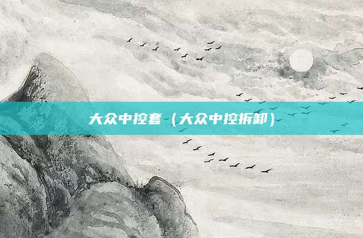 大众中控套(大众中控拆卸)