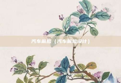 汽车前脸（汽车前脸设计）
