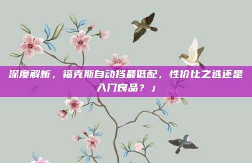 深度解析,福克斯自动挡最低配,性价比之选还是入门良品?」