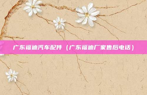 广东福迪汽车配件(广东福迪厂家售后电话)