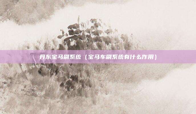 丹东宝马刷系统(宝马车刷系统有什么作用)