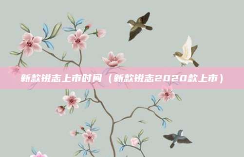 新款锐志上市时间(新款锐志2020款上市)