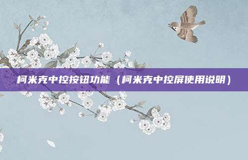 柯米克中控按钮功能(柯米克中控屏使用说明)