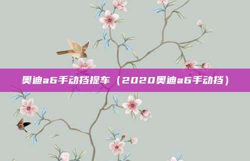 奥迪a6手动挡提车（2020奥迪a6手动挡）