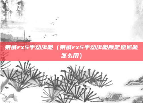 荣威rx5手动旗舰(荣威rx5手动旗舰版定速巡航怎么用)