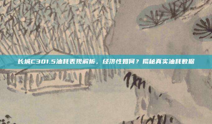 长城C301.5油耗表现解析,经济性如何?揭秘真实油耗数据