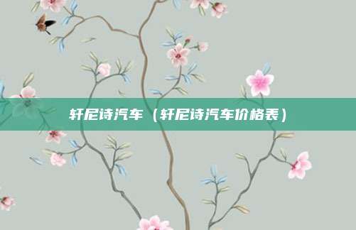 轩尼诗汽车（轩尼诗汽车价格表）