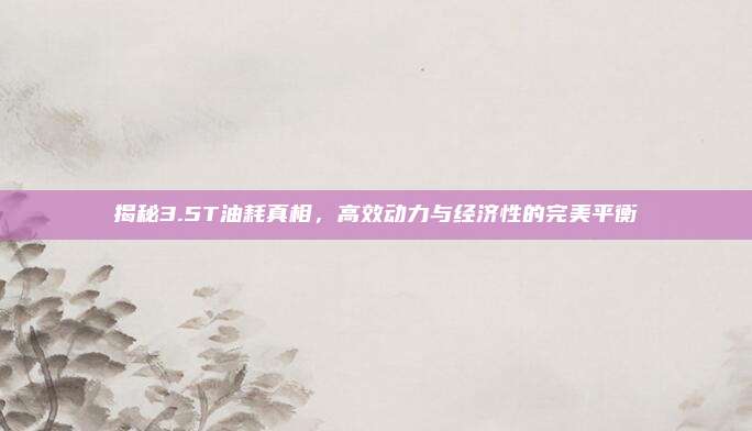 揭秘3.5T油耗真相,高效动力与经济性的完美平衡