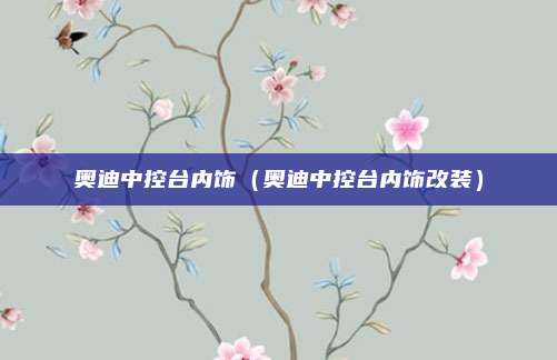 奥迪中控台内饰(奥迪中控台内饰改装)