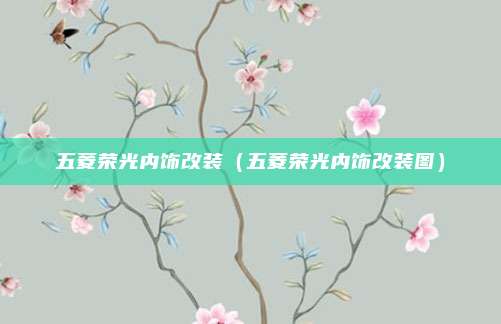 五菱荣光内饰改装(五菱荣光内饰改装图)