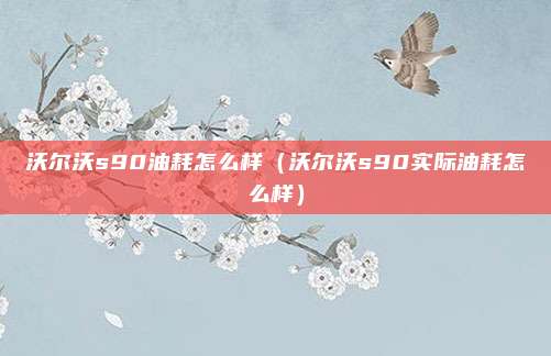 沃尔沃s90油耗怎么样（沃尔沃s90实际油耗怎么样）