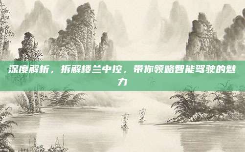 深度解析,拆解楼兰中控,带你领略智能驾驶的魅力