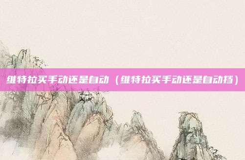 维特拉买手动还是自动(维特拉买手动还是自动挡)