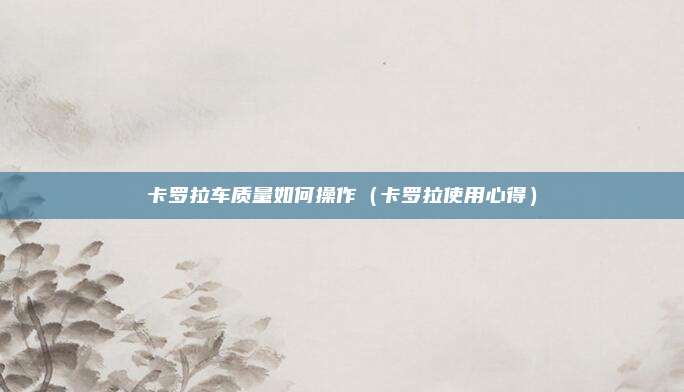 卡罗拉车质量如何操作(卡罗拉使用心得)