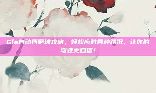 Gla自动挡爬坡攻略,轻松应对各种路况,让你的驾驶更自信!