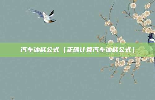 汽车油耗公式（正确计算汽车油耗公式）