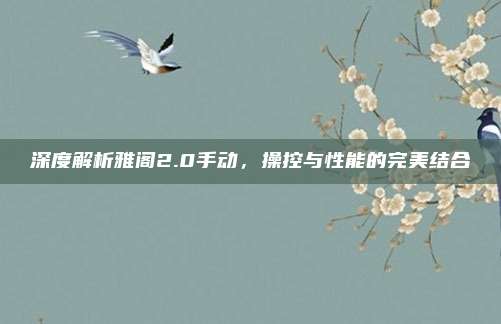 深度解析雅阁2.0手动,操控与性能的完美结合