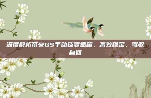 深度解析帝豪GS手动挡变速箱,高效稳定,驾驭自如