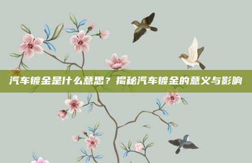 汽车镀金是什么意思?揭秘汽车镀金的意义与影响